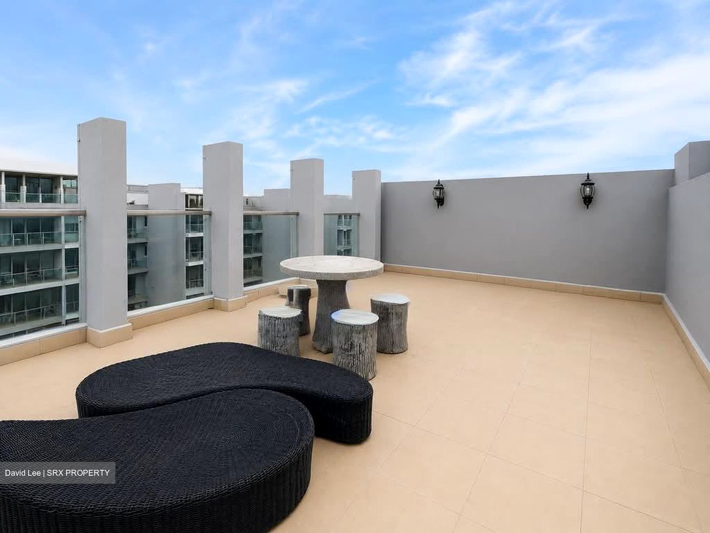 Parc Vera (D19), Condominium #595073531
